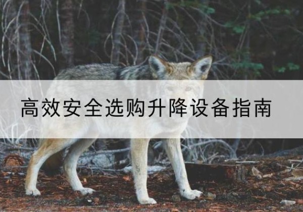 文水升降货梯厂家推荐-*安全选购升降设备指南