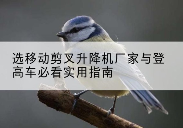 文水电动升降机厂家-选移动剪叉升降机厂家与登高车必看实用指南