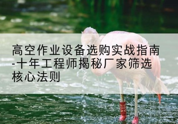文水剪叉式升降机厂家-高空作业设备选购实战指南-十年工程师揭秘厂家筛选核心法则
